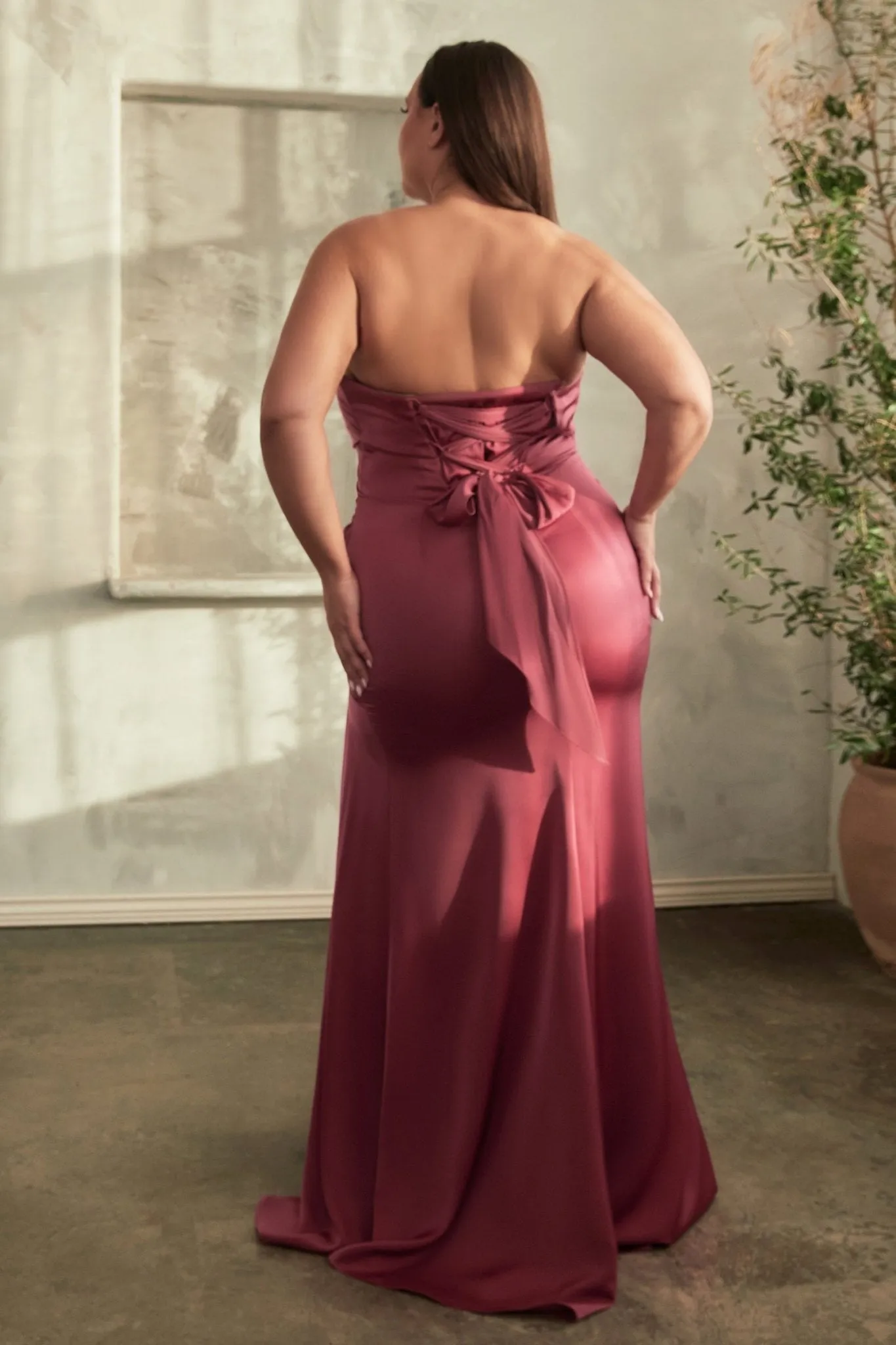 CD326C - Ladivine By Cinderella Divine Dress