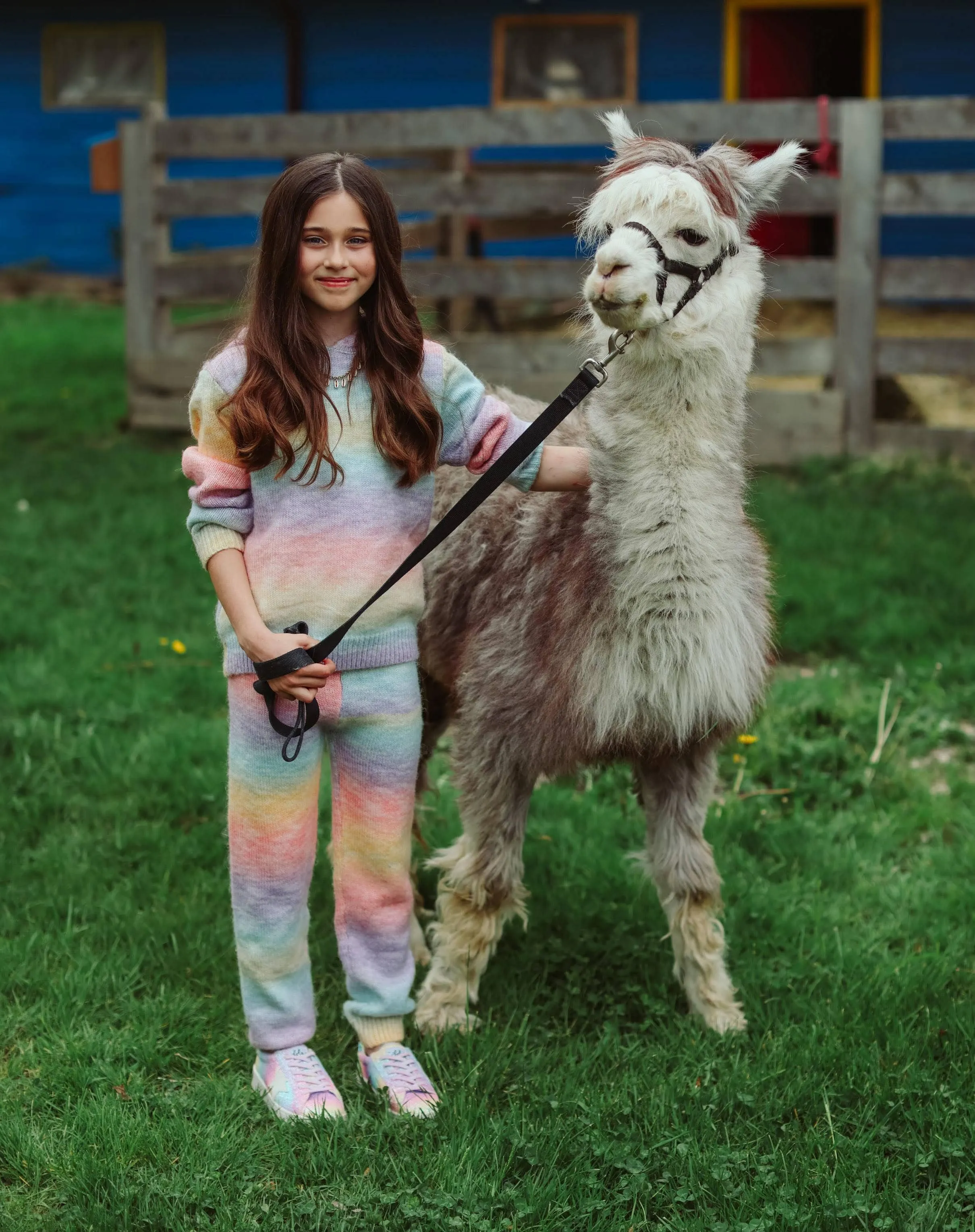 Womens Sunset Knit Hoodie and Pants Set